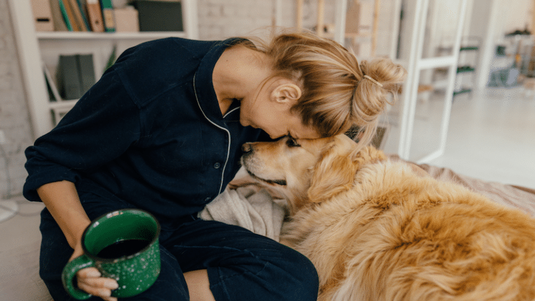 How Do Emotional Support Animals Help survivors?